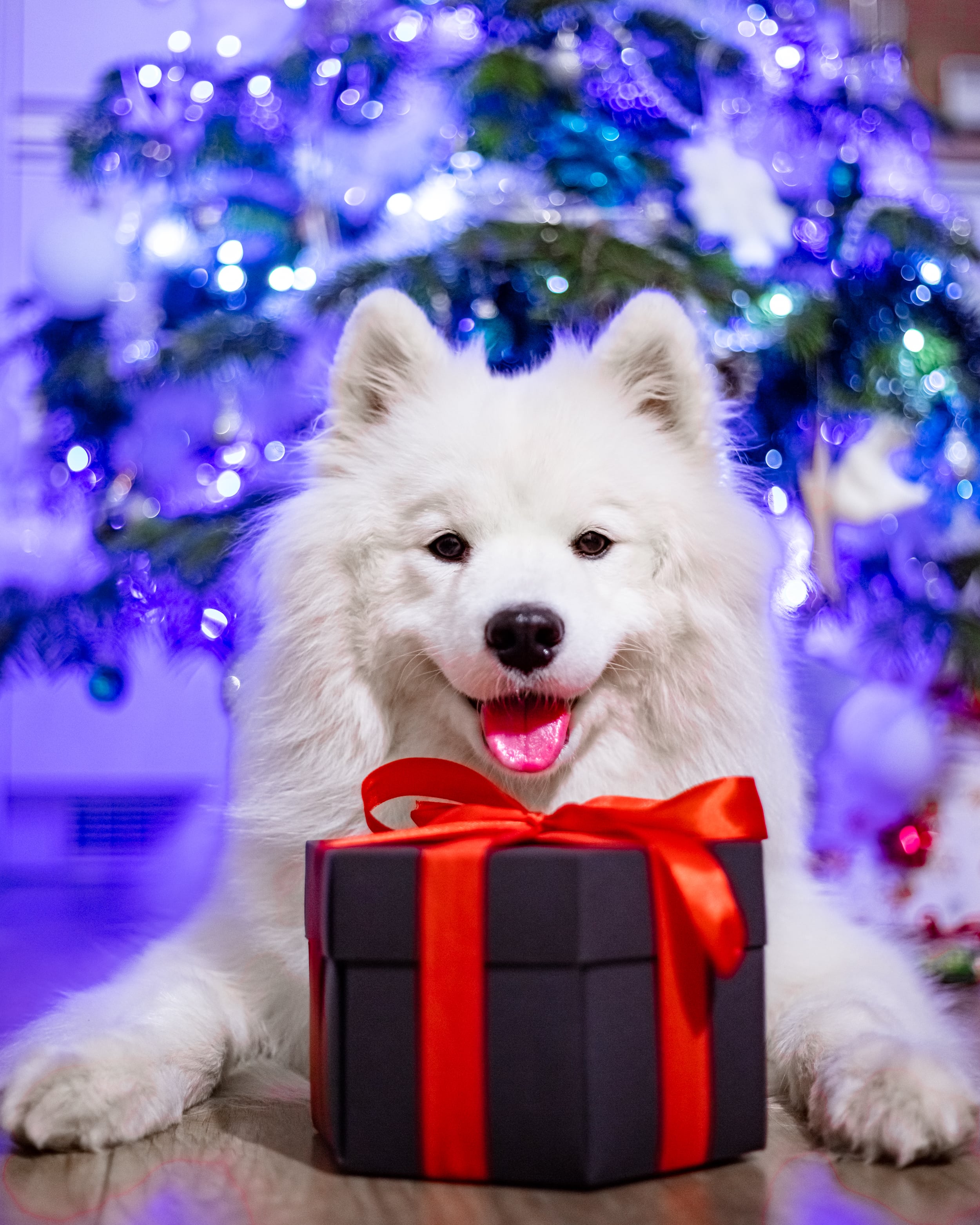 PUDEŁKO NIESPODZIANKA - EXPLODING BOX DO SAMODZIELNEGO ZŁOŻENIA