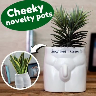 Odważna Doniczka w kształcie Męskiej Sylwetki z napisem „Sexy and I Grow It”