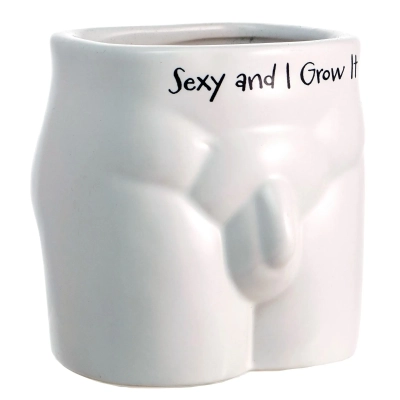 Odważna Doniczka w kształcie Męskiej Sylwetki z napisem „Sexy and I Grow It”