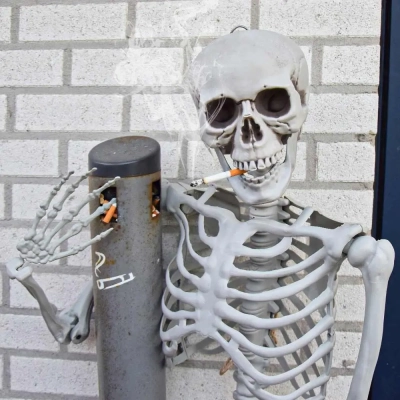 Realistyczny Duży Szkielet 170 cm - Mroczna Dekoracja na Halloween