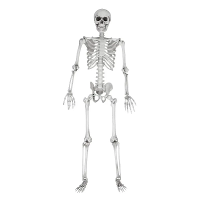 Realistyczny Duży Szkielet 170 cm - Mroczna Dekoracja na Halloween