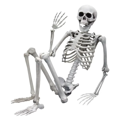 Realistyczny Duży Szkielet 170 cm - Mroczna Dekoracja na Halloween