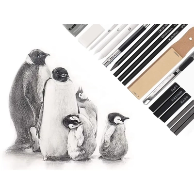 Profesjonalny Zestaw do Szkicowania Rysowania w Etui 32w1