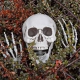 Realistyczny Duży Szkielet 170 cm - Mroczna Dekoracja na Halloween