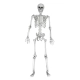 Realistyczny Duży Szkielet 170 cm - Mroczna Dekoracja na Halloween