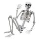 Realistyczny Duży Szkielet 170 cm - Mroczna Dekoracja na Halloween