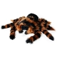 Pluszowa Tarantula Pająk Gigant XXL - Prezent dla Dzieci na Haloween